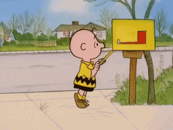Mailing Box Charlie Brown Peanuts GIF
