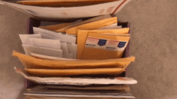 Mailing Envelopes Files In Boxes GIF