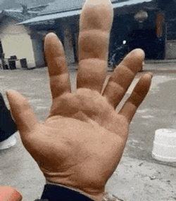 Main Des Tortues Ninja GIF