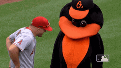 Major League Mike Trout Handshakes A Mascot GIF