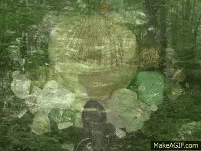 Make A GIF Website Displayed In Corner GIF
