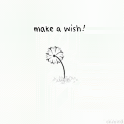 Make A Wish After Countdown Then Blow GIF