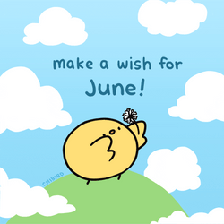Make A Wish For June  GIF