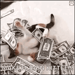 Make It Rain Kittee GIF