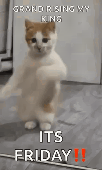 Makeagif.com At Bottom Of Screen GIF