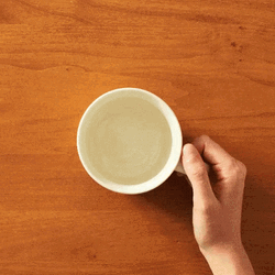 Making Homemade Psl In Mug GIF