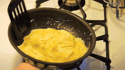 Making Omelette Breakfast GIF