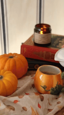 Making Psl In Tiny Pumpkin Mug GIF
