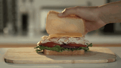 Making The Perfect Idiot Sandwich GIF