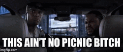 Malibus Most Wanted Two Guys This Ain't No Picnic GIF