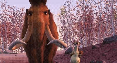 Mammoth And Squirrel Standing In Forest GIF