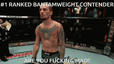 Man #1 UFC Bantamweight Are You Fucking Mad GIF