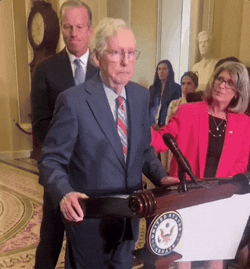 Man Advice Mitch Mcconnell Turtle GIF