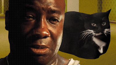 Man And Black Cat Close Up GIF