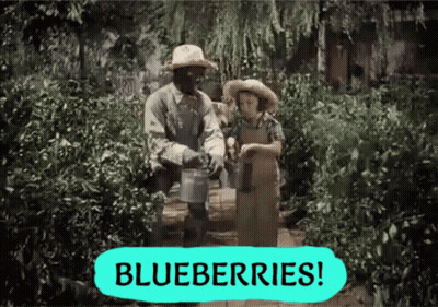 Man And Boy In Garden With Blueberries Sign GIF