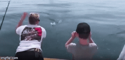 Man And Boy On Boat Looking At Dolphin GIF