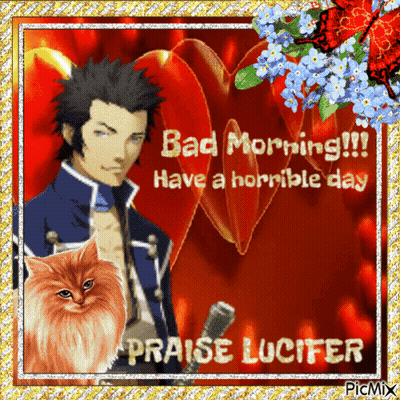 Man And Cat Bad Morning Horrible Day GIF