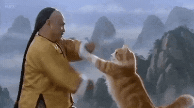 Man And Cat Fighting Before Mountain GIF