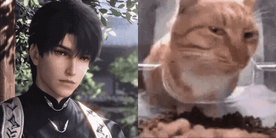 Man And Cat Looking At Each Other GIF