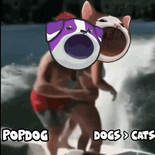 Man and Cat Riding Surfboard Popdog Dogs and Cats