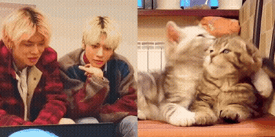 Man And Cat Sitting Next To Each Other GIF