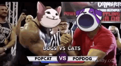 Man and Cat Standing in Front of Crowd