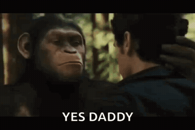 Man And Chimpanzee Saying Yes Daddy GIF