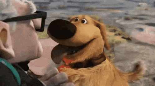 Man And Dog From Up Hugging GIF