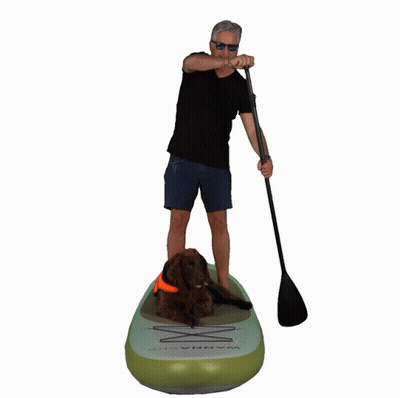 Man And Dog On Aqua Paddle Board GIF
