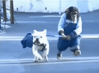 Man And Dog Running Across Street GIF