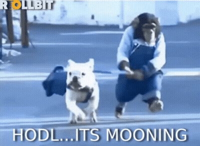 Man And Dog Running Down Street Saying HODL Its Mooning GIF