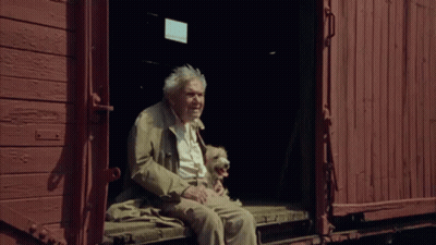 Man And Dog Sitting On Train Car Steps GIF