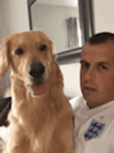 Man And Dog Taking Selfie In Mirror GIF