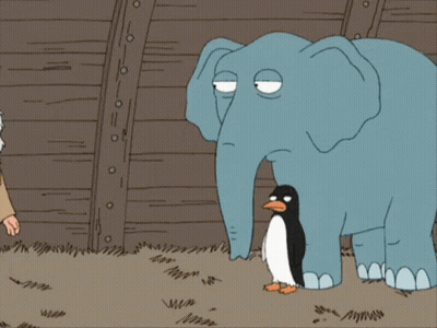 Man And Elephant And Penguin Saying What The Hell GIF
