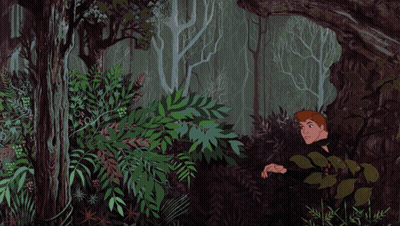 Man And Horse In Woods GIF