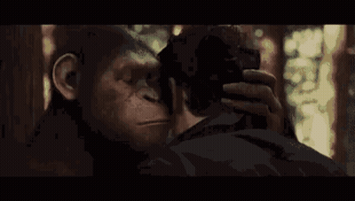 Man And Monkey Looking At Each Other In Dark Room GIF