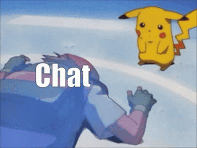 Man And Pikachu Saying Chat GIF