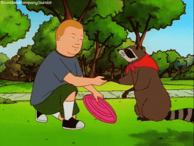 Man And Raccoon Playing Frisbee GIF