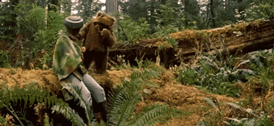 Man And Teddy Bear Sitting On Log GIF
