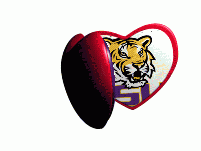 Man And Tiger With LSU GIF