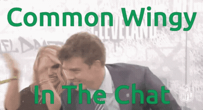Man And Woman Common Wingy In The Chat GIF