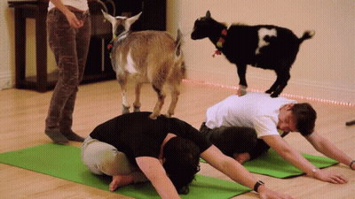 Man And Woman Doing Push Ups GIF