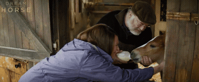 Man And Woman Feeding Horse From Bottle GIF