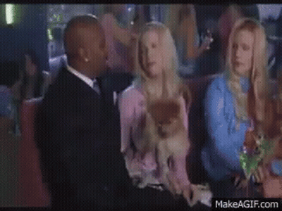 Man And Woman Holding Dog In Club GIF