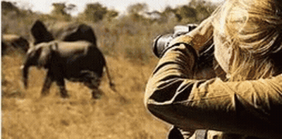 Man And Woman Hugging And Kissing GIF