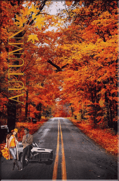 Man And Woman In Car With Autumn GIF