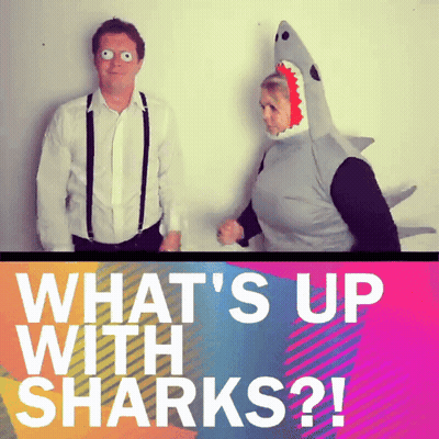 Man And Woman In Shark Costumes What's Up With Sharks GIF