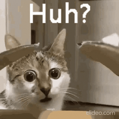 Man And Woman Kissing In Front Of Party Hat GIF
