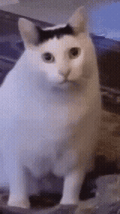 Man And Woman Kissing With Bee Faces GIF