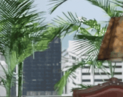 Man And Woman Looking At Each Other Black And White GIF
